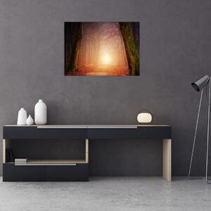 Obraz jesiennego lasu we mgle (70x50 cm)