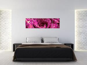 Obraz różowego kwiatu róży (170x50 cm)