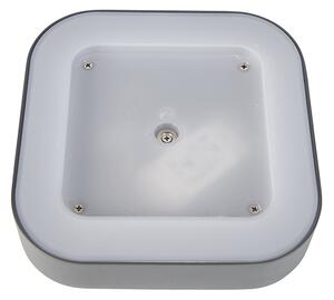 Lampa ścienna i sufitowa szara kwadratowa IP54 - Ariel