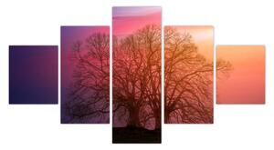Obraz drzew we mgle (125x70 cm)