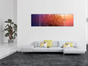 Obraz drzew we mgle (170x50 cm)