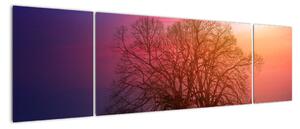 Obraz drzew we mgle (170x50 cm)
