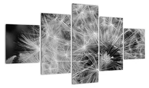Obraz - nasiona dmuchawca (125x70 cm)