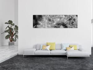 Obraz - nasiona dmuchawca (170x50 cm)