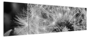 Obraz - nasiona dmuchawca (170x50 cm)