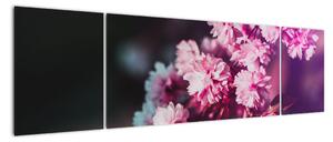 Obraz kwiatów drzewa (170x50 cm)