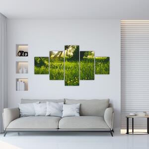 Obraz natury - łąka (125x70 cm)