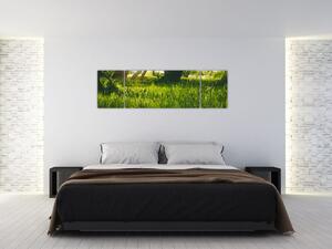Obraz natury - łąka (170x50 cm)