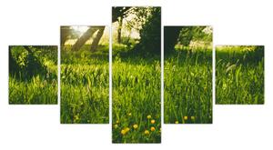 Obraz natury - łąka (125x70 cm)