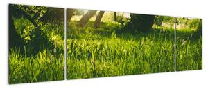 Obraz natury - łąka (170x50 cm)