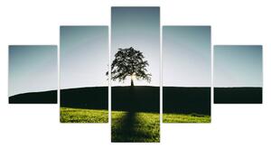 Obraz natury - drzewo (125x70 cm)