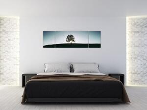 Obraz natury - drzewo (170x50 cm)