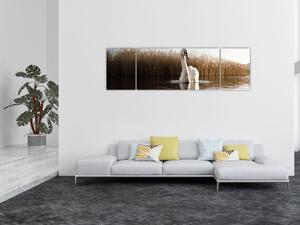 Obraz łabędzia (170x50 cm)