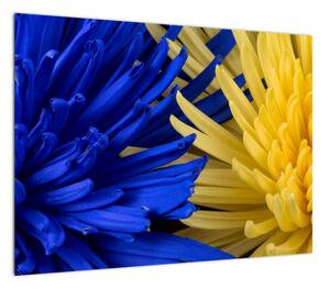 Obraz - szczegóły kwiatów (70x50 cm)
