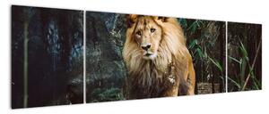 Obraz lwa w naturze (170x50 cm)