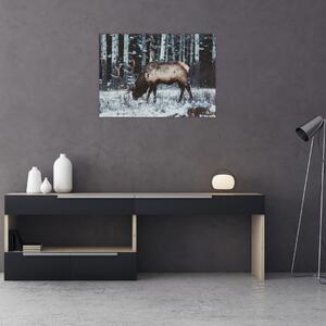 Obraz - jeleń zimą (70x50 cm)