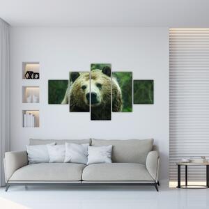 Obraz niedźwiedzia (125x70 cm)