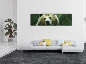 Obraz niedźwiedzia (170x50 cm)