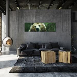Obraz niedźwiedzia (170x50 cm)