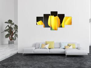 Obraz tulipanów (125x70 cm)