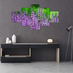 Obraz fioletowych kwiatów polnych (125x70 cm)