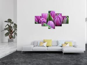 Obraz - kwiaty tulipanów (125x70 cm)