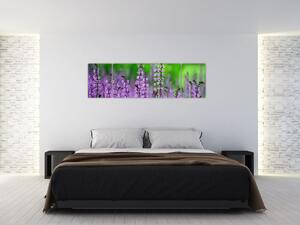 Obraz fioletowych kwiatów polnych (170x50 cm)