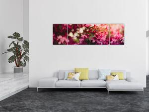 Obraz kwiatów malwy (170x50 cm)