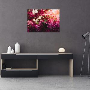 Obraz kwiatów malwy (70x50 cm)