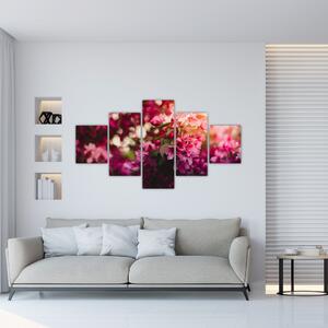 Obraz kwiatów malwy (125x70 cm)