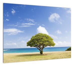 Obraz plaży z drzewem (70x50 cm)