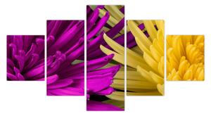 Obraz - szczegóły kwiatów (125x70 cm)
