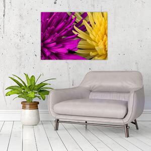 Obraz - szczegóły kwiatów (70x50 cm)