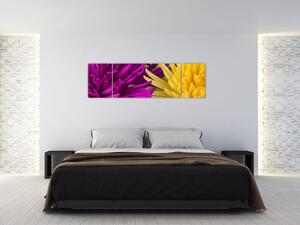 Obraz - szczegóły kwiatów (170x50 cm)