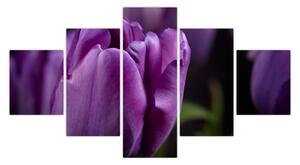 Obraz kwiatów tulipanów (125x70 cm)