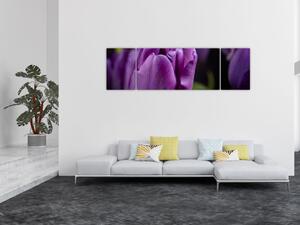 Obraz kwiatów tulipanów (170x50 cm)