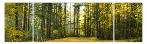 Obraz - las jesienią (170x50 cm)