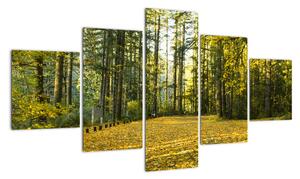 Obraz - las jesienią (125x70 cm)
