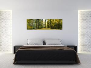 Obraz - las jesienią (170x50 cm)