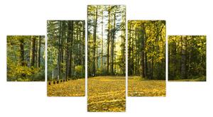 Obraz - las jesienią (125x70 cm)