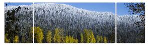 Obraz - ośnieżone góry zimą (170x50 cm)
