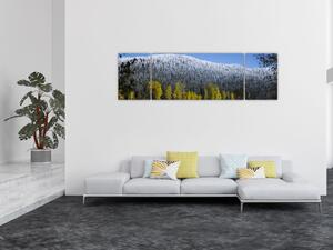 Obraz - ośnieżone góry zimą (170x50 cm)