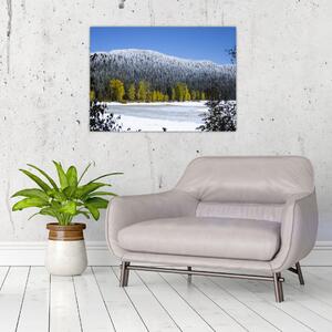 Obraz - ośnieżone góry zimą (70x50 cm)