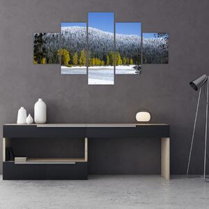 Obraz - ośnieżone góry zimą (125x70 cm)
