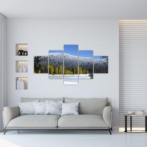 Obraz - ośnieżone góry zimą (125x70 cm)