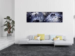 Obraz owoców z kroplami wody (170x50 cm)