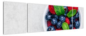 Obraz- miska z leśnymi owocami (170x50 cm)