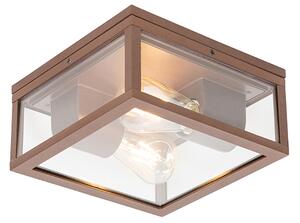 Industrialna lampa sufitowa rdzawo-brązowa IP44 2-światła - Charlois