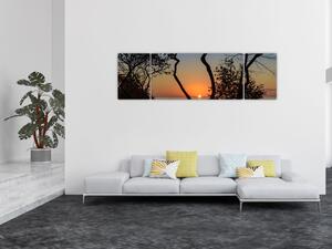 Obraz zachodu słońca (170x50 cm)