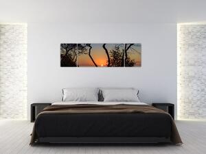 Obraz zachodu słońca (170x50 cm)